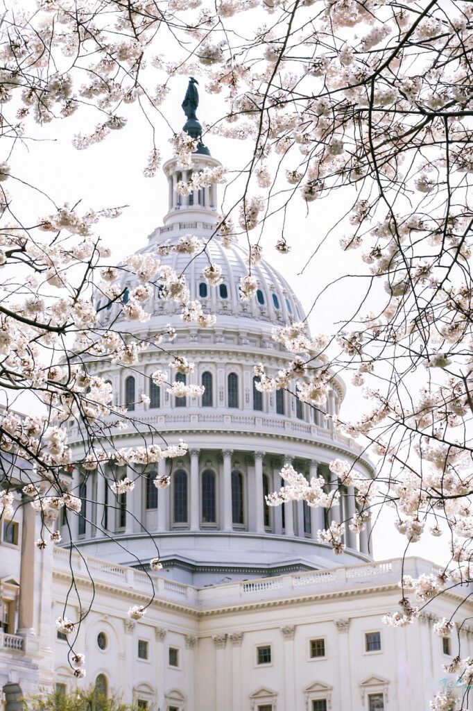 capital, usa, government, landmark, america, architecture, nature, washington, congress, senate, building, dc, historic, history, travel, memorial, monument, capitol, phone wallpaper, city, symbol, famous, tourism, national, federal, cherry blossom, spring, aesthetic wallpaper, iphone wallpaper